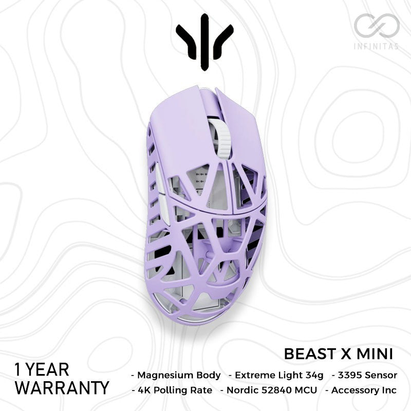 WL Mouse Beast X Mini Magnesium
